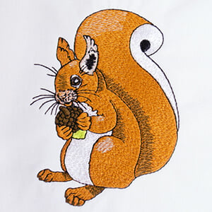 Cyril the Squirrel