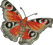 OESD Butterfly
